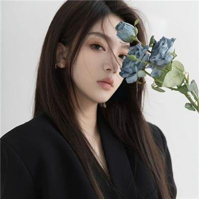 亚尔斯兰战记II